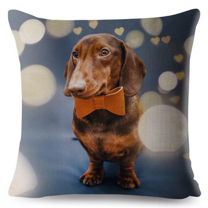 Miniature Dachshund Dogs Print Cushion Cover Square Pillow Covers Home Decor Pillowcase At Affordable S Free Shipping Real Reviews With Photos Joom - Miniature Dachshund Home Decor Miniature Dachshund Dogs Print Cushion Cover Square Pillow Covers Home Decor Pillowcase At Affordable S Free Shipping Real Reviews With Photos Joom - Miniature Dachshund Home Decor