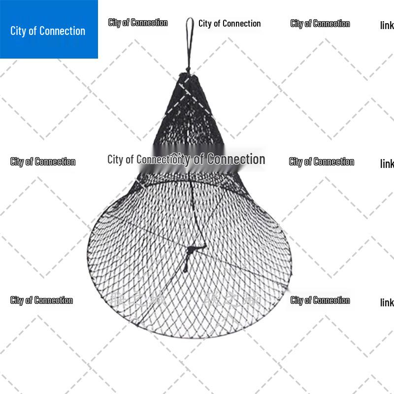 Lianzicheng Marine Day Shapes