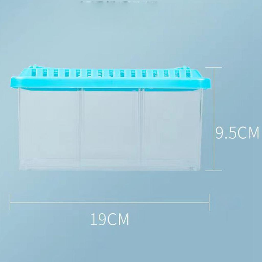 Acrylic Fish Tank Detachable 3 Areas Small Aquarium Desktop Ornamental Transparent Fish Tank for Hom