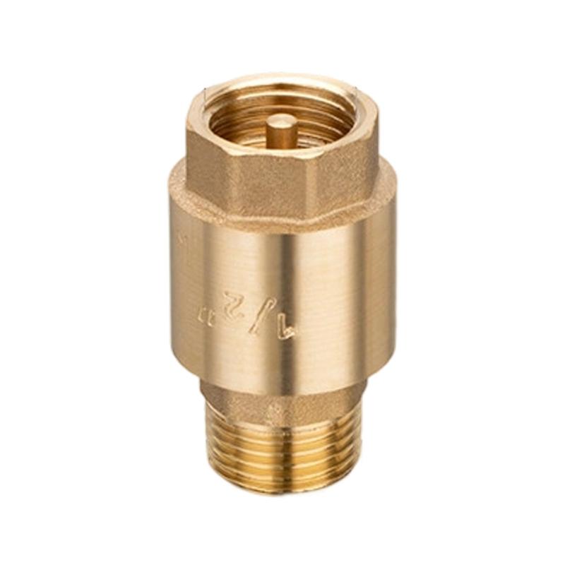 Multipurpose 1/2inch Brass Check Valves Rustproof Construction Return Valves For Gas And Liquid Applications