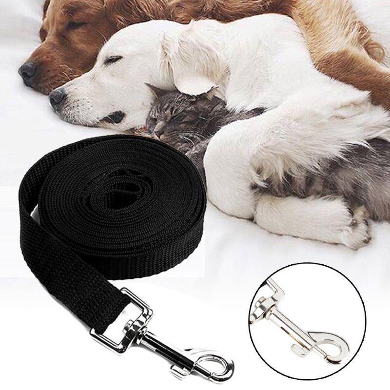 dog tracking long lines