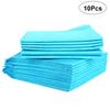 10Pcs Super Absorbent Pet Training Pads Puppy Pee Pads for Indoor Dogs Elderly Canine Cage Car Hotel Clean Dry Surface Odor