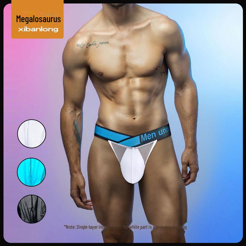 Men's Ultra-Thin Breathable Triangle Briefs & Sexy Translucent Leggings