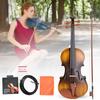 AV E310 Electro Acoustic EQ Violin Matte Finish Fiddle Kit with Case Rosin Bow Extra Strings
