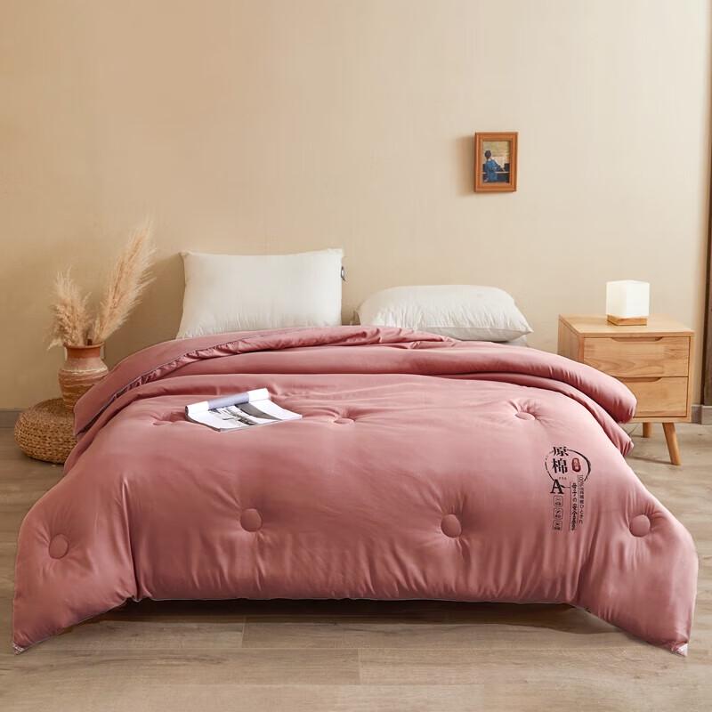 

All-Season Premium Soybean Fiber Quilt