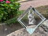 Picardy Sheepdog, Berger Picard, Picardy Shepherd – Crystal cube with a photo, photo of a horse in crystal | Art-Dog