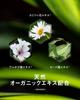 Better Future BF Treatment 400mL Thinning Hair Scalp Care Treatment with Ostrich Made in Japan Antibodies,