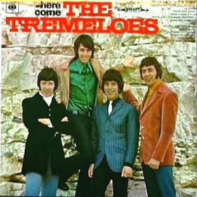 

LP Record TREMELOES - Here Come The Tremeloes BPG63017 CBS 1967 UK Rock Used