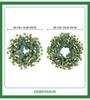 Hua Ying Fu Green Plant Combination Door & Window Hanging Ornament with Money Leaf & Eucalyptus Wreath