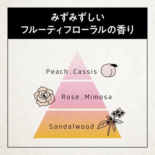 Success 24 Cleansing Shampoo Fresh Fruity Floral Scent Refill 280ml Salon Finish Hair/Skin Refreshing