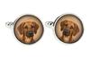 Rhodesian Ridgeback, African Lionhound, African Lion Dog - Cufflinks, a Shirt Accessory, a Shirt Pendant from the Brand