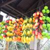 Home Plastic Fruit Decoration Plants DIY Fake Vegetables Wall Decor Artificial Vegetables Artificial Fruit