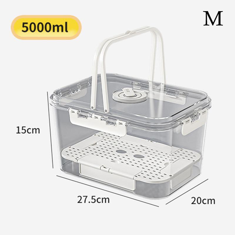 Picnic Box Clear Food Storage with Drain Plate for Easy Outdoor Use