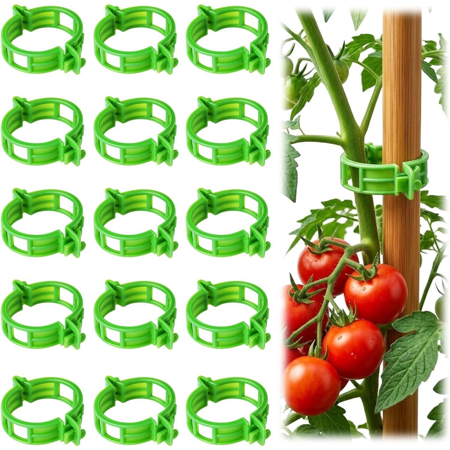100pcs Tomato Clips for Climbing plants, Plastic Trellis Plant Support Clips for Garden, Reusable Clips for Supporting Grape Tomato Vine зелёный