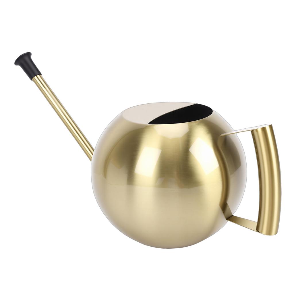 Watering Can with Long Spout 1000ml Stainless Steel Round Indoor Plant Watering Can with Detachable Head for Home