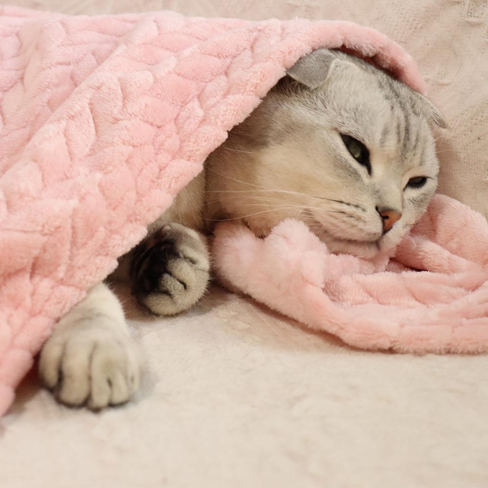 Wheat Fringe Fleece Small Blanket Pet Blanket Cat Cover Blanket Nest Cushion Dog Warm Cover Blanket Coral Fleece Blanket Thickened Blanket