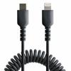 Startech-USB To Lightning Cable Startech RUSB2CLT50CMBC 50 Cm Black