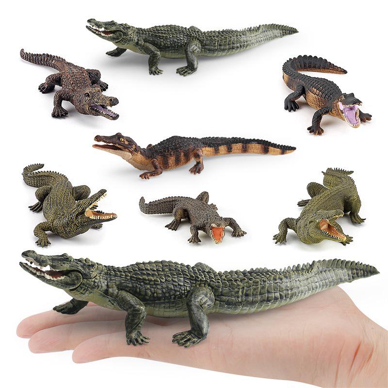 Crocodile Model Set: Small Static Display Reptile Toys