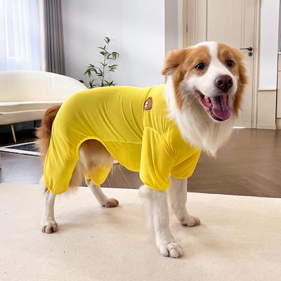 Abbigliamento e scarpe – Gilet e camicie per cani