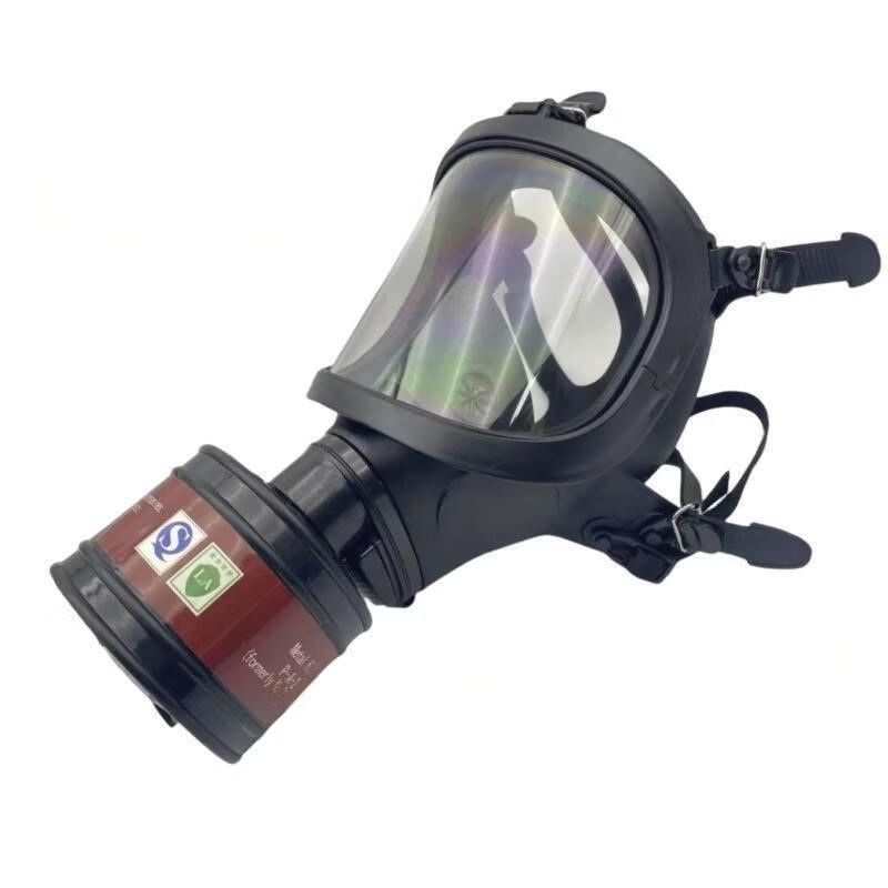 DAXTE Full-Face Respirator Mask