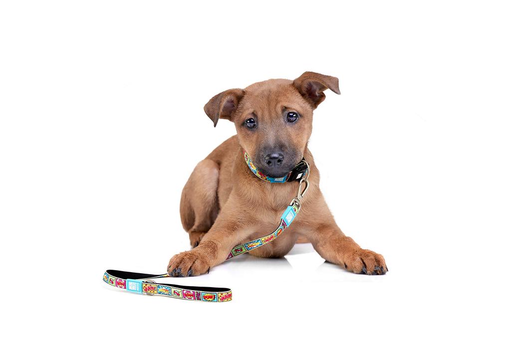 ROOKCRAN Max & Molly Large Dog Leash, Comic Design, Suitable for Small, Medium, and Large Dogs, Stylish, 064701