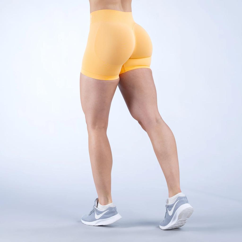 Seamless Waist Yoga High Waist Butt Lifting Compression Sports Bra Shorts Leggings Set Women Running Training Outfit