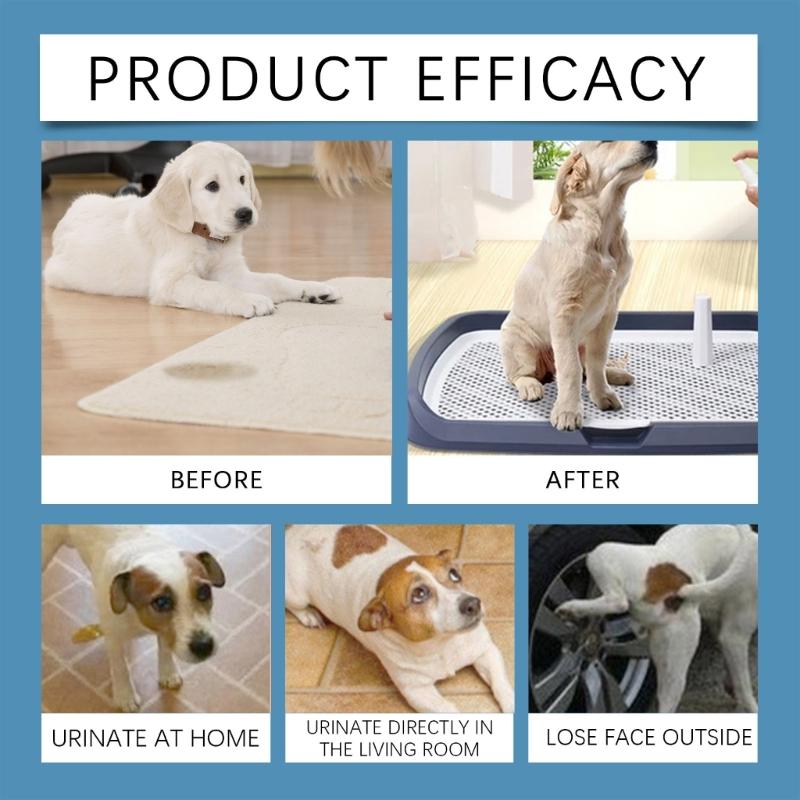 50ml Haustier Töpfchentraining Sprays Sanft Für Den Täglichen Gebrauch Helfen Haustieren Sich Schnell An Den Ausgewiesenen Bereich Zu Gewöhnen Reduziert Töpfchenunfälle