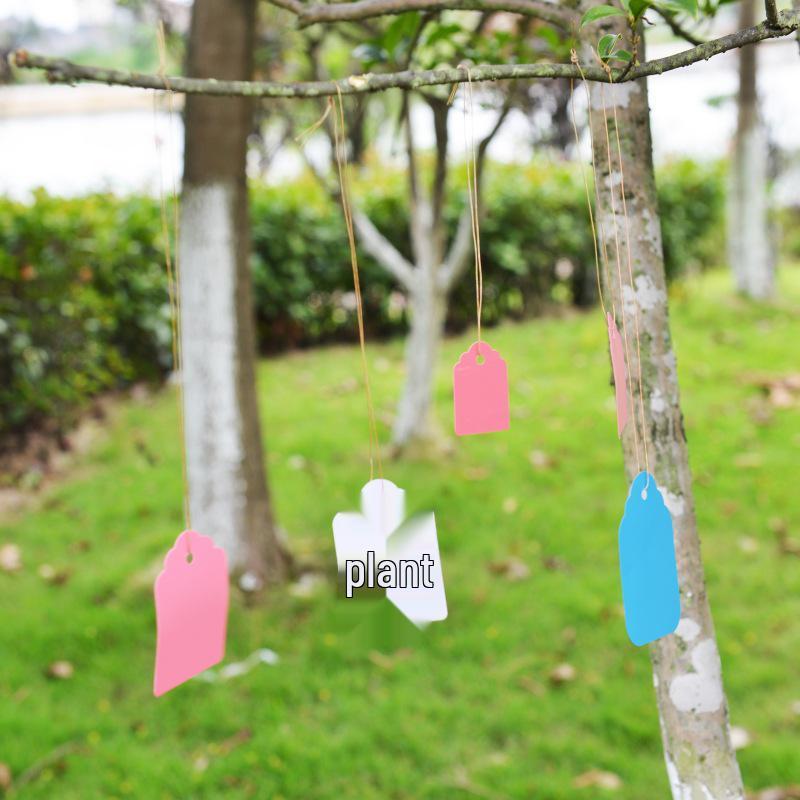 Waterproof PVC Gardening Hanging Tags for Flowers, Succulents, and Fruit Trees