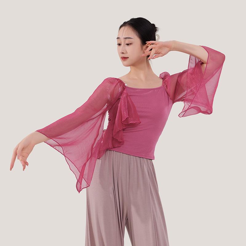 Women's Mesh Long Sleeve Dance Top - Body Shaping, Autumn/Winter, Classical Chinese Style