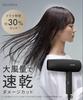 SALONIA Speedy Ion Hair Dryer, High Airflow, Fast Drying, Lightweight, Negative Ion Hair Dryer SL-013AGR, Gray [Amazon.co.jp Exclusive]