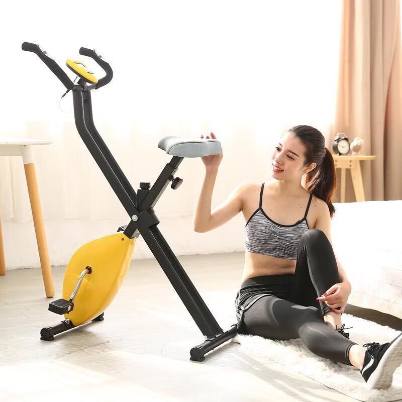 WEZHO Home Silent Magnetic Spin Bike