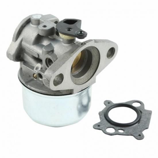 Carburetor For  498170 497586 799868 497347 799872 790821 Carb US