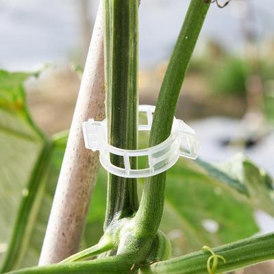 100 PCS Grow Upright Reusable Plant Support Clips Durable Snap-Lock Design Plastic Clips Fixing Clips Grape Vine