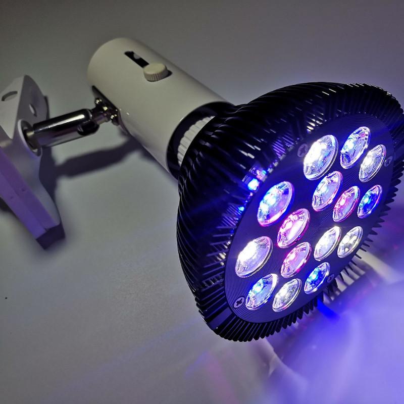 

12 Вт 15 Вт 36 Вт 45 Вт Полный PAR38 Лампа для разведения водных растений Дополнительный свет Спектр Светодиодная лампа для аквариума 45W