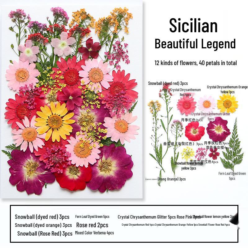 Handmade Resin Pressed Flower Bookmark DIY Kit: Transparent Specimen Stickers & Dried Flowers for Students