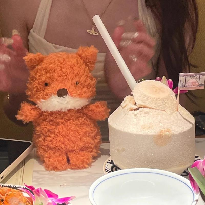 Păpușă animal mic cu păr creț nordic, jucărie de pluș, păpușă cățeluș fără stăpân, păpușă de nuntă, suvenir