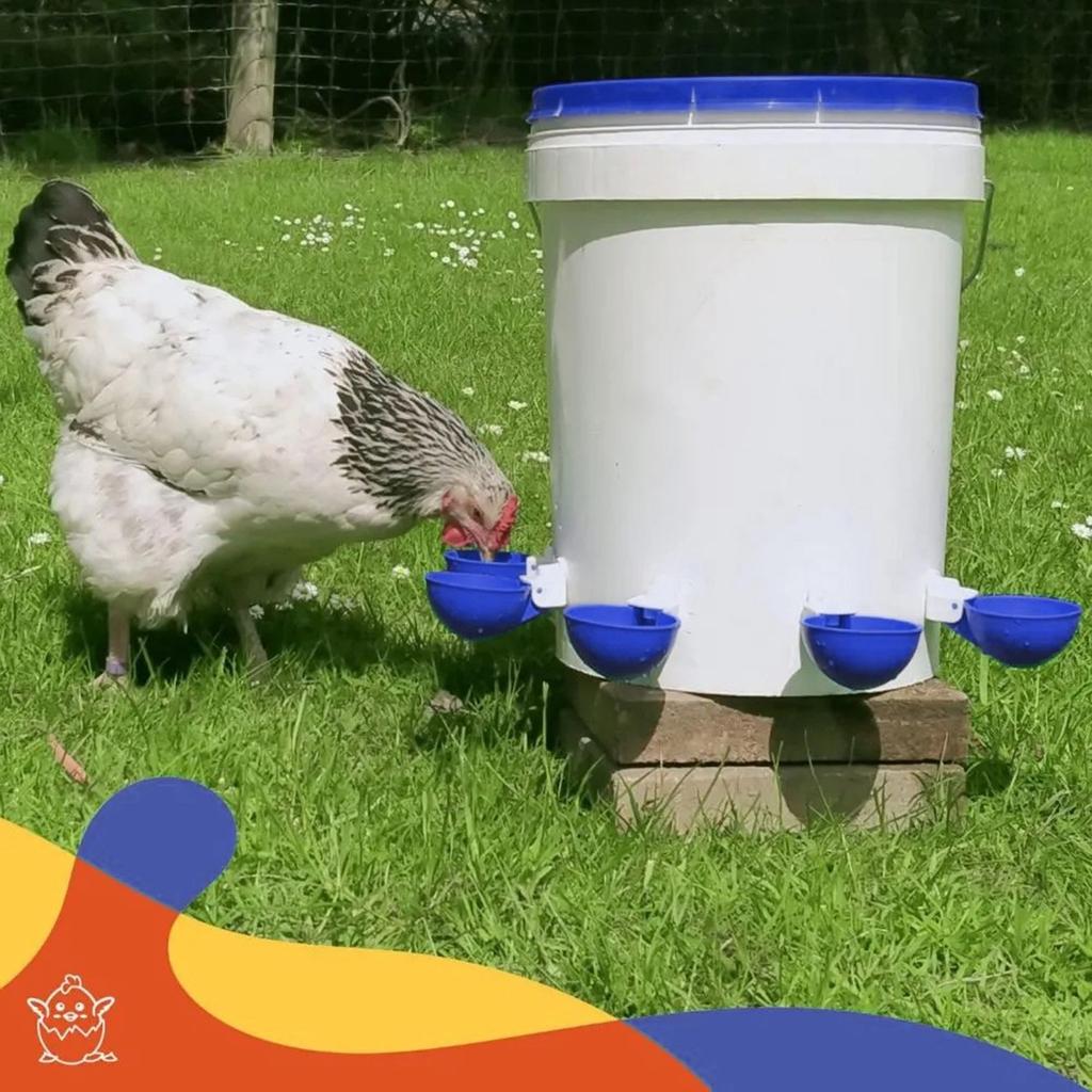 Automatický podavač vody pro kuřata, univerzální model pro drůbež - 5 kusů