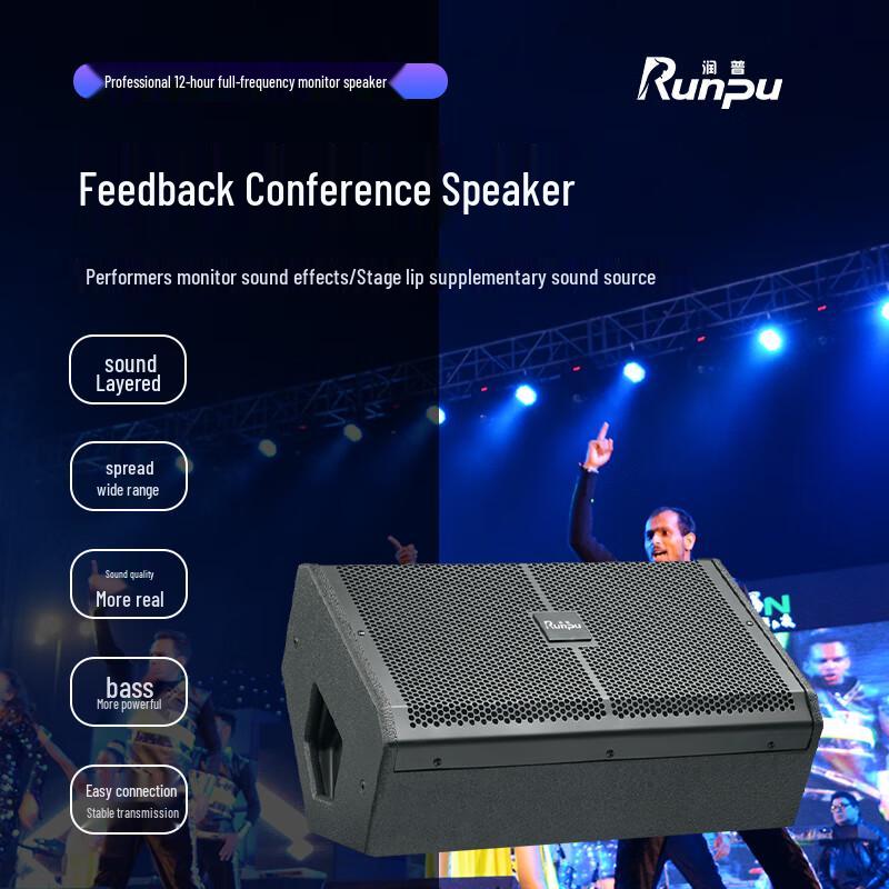 Runpu 12-inch Full-Range Passive Monitor Speaker (CN version)