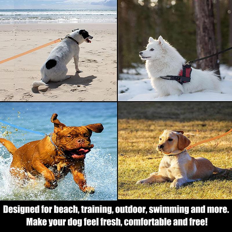 Laisse pour chien Longues laisses en PVC 3M 6M 9M 12M 15M Promenade Entraînement Imperméable Facile à nettoyer Pour chiens grands moyens petits