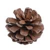 16 szt. Naturalne szyszki sosnowe Ozdoba Wisząca dekoracja świąteczna