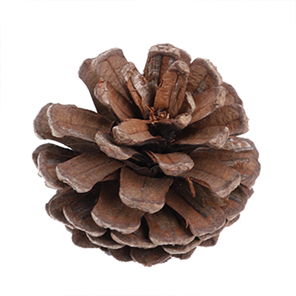 16 szt. Naturalne szyszki sosnowe Ozdoba Wisząca dekoracja świąteczna