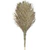 Wooden Handle Outdoor Broom