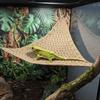 Suction Cup Pet Climbing Net Breathable Mesh Reptile Mesh Hammock Lizard Hammock  Pet Resting
