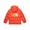 THE NORTH FACE Mens Color Block Sierra Parka NF0A5EIE-0TV