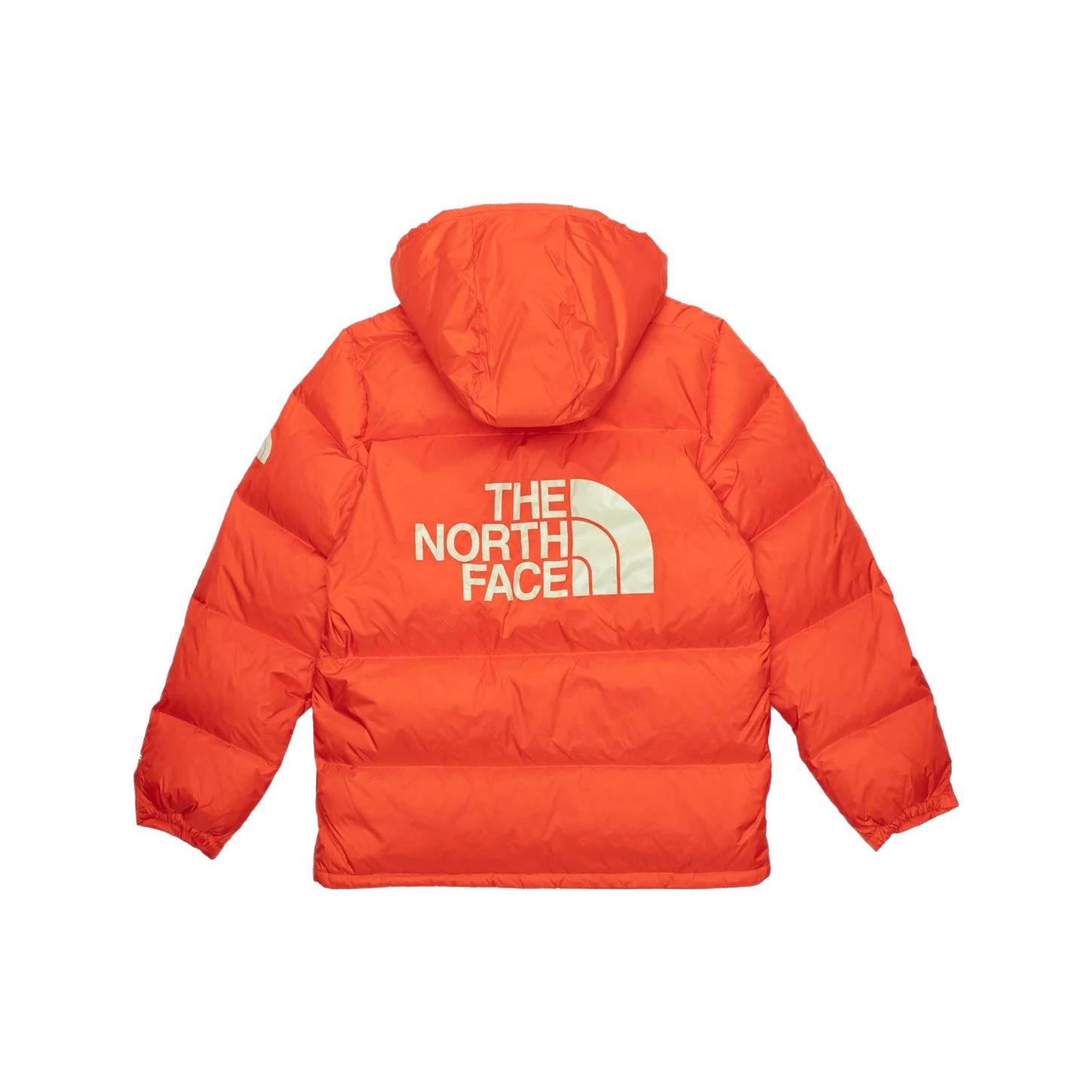 THE NORTH FACE Mens Color Block
