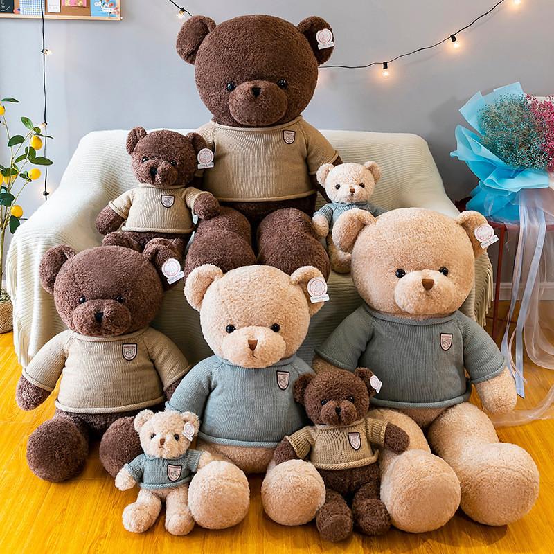 Bear Teddy Cartoon Animal Plush Doll Bear Pillow Soothing Sleep Gift Birthday