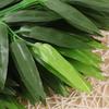 10pcs Artificial Green Bamboo Leaves Fake Green Plants Simulation Green Plants Art Home Hotel Office Decoration Supplies