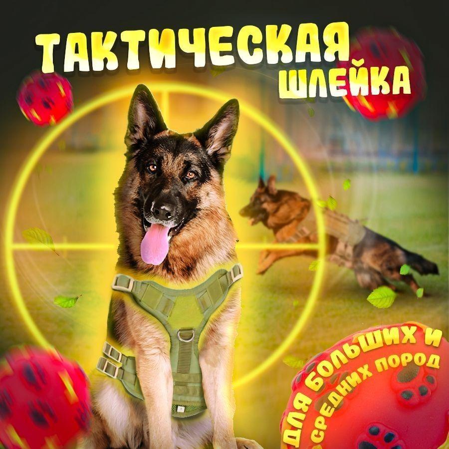 Durable Oxford Fabric Dog Collar and Lead Set for Large Dogs with Chest Back Vest Style Harness