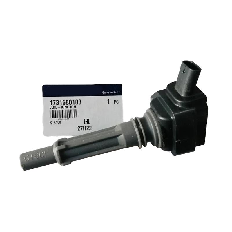 Original Ignition Coil For Ssangyong Tivoli Korando 1.6L 2.0L G16DF G20 (2012-) OEM A1731580103 1731580103
