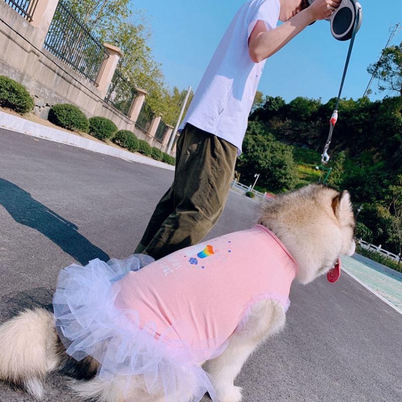 Dog Clothes Spring Summer Thin Pet Parent-Child Puffy Skirt Shirt Teddy Cat Bulldog Golden Retriever Alaskan Malamute Wholesale